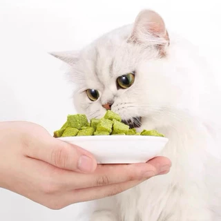 หญ้าแมวฟรีซดราย Pawtique 500 กรัม หญ้าแมวผสมอกไก่ Freeze Dried 100% ขนมแมว ขนมฟรีซดราย 500g