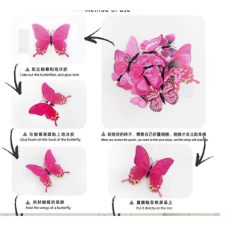 ผีเสื้อ 3D จำนวน 12 ชิ้น มีหลายสี มีแม่เหล็ก และกาว ไว้ตกแต่งผนัง
