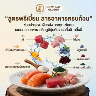 Wishpurr โปร 2 ถุง โปรตีน 35% ตัวแน่น ขนสวย ไม่เค็ม