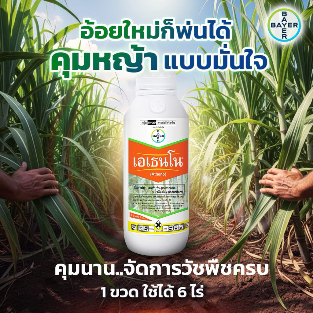 เอเธนโน ไบเออร์ 1ลิตร เมทริบูซิน+อินดาซิแฟลม คุมฆ่าทั้งใบแคบใบกว้างในอ้อย พ่นทับได้ คุมได้นาน4-5เดือน