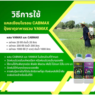 VAMAX ชุดยกลัง 6 แถม 6 ปุ๋ยธาตุอาหารรวม 7 ชนิด เสริมอะมิโน แถมฟรีเสื้อปุ๋ยแขนยาว V12