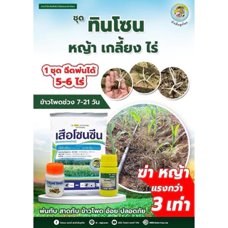 ทินเซอร์ 50ซีซี+โดรนสเปรย์ 100ซีซี และ 250ซีซี+โดรนสเปรย์ 500 ซีซี กำจัดหญ้าใบแคบ ใบกว้าง