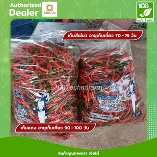 เมล็ดพันธุ์พริกขี้หนูดวงเศรษฐี ตราเจียไต๋ (1,000 เมล็ด)