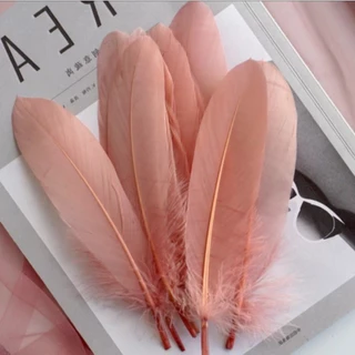 ขนนกDIY คละสี สำหรับตกแต่ง มีทั้งขนนกขนฟูและขนเรียบ ขนนกธรรมชาติสีสันสวย ตกแต่งสำหรับเครื่องประดับ