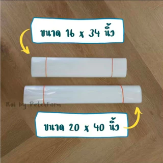 🔥ดีที่สุด 🔥 ถุงแพคปลา แพคปลาสวยงาม เนื้อหนา 0.08 mm แพคปลาใหญ่ได้ ไม่ขาดง่าย เหนียว ทน เกรด AAA หนัก 0.5 kg และ 1 kg