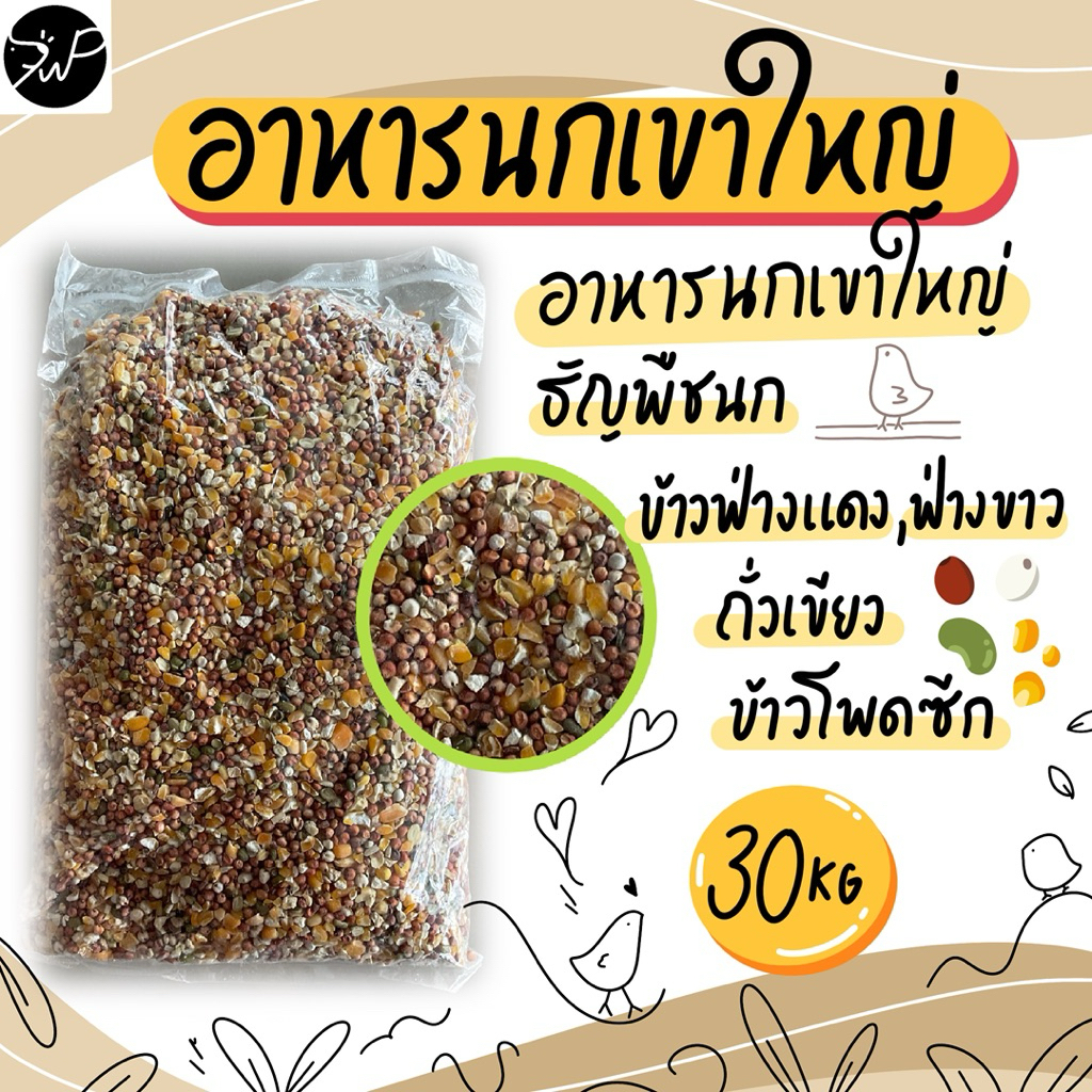 30กิโล อาหารนกเขาใหญ่ ข้าวฟ่างนก นกเขา คุณภาพดี ใหม่ทุกวัน