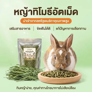 PETLUSCI® หญ้าอัลฟาฟ่าอัดเม็ด 500ก กัดฟันและทําความสะอาดฟัน ดูแลระบบย่อยอาหาร ลดกลิ่นไม่พึงประสงค์
