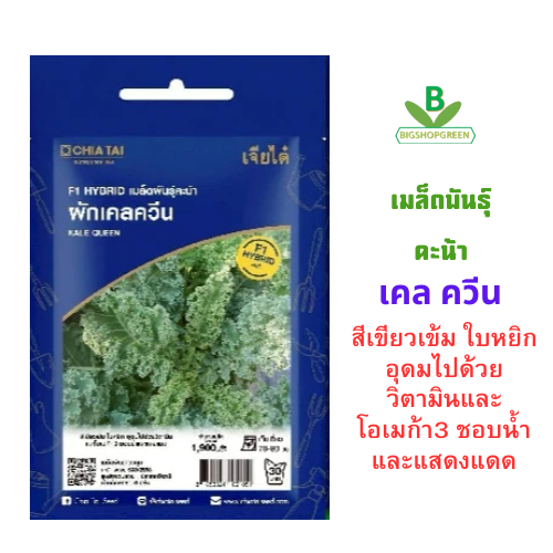 เมล็ดผัก ซองอีซี่ เมล็ดพันธุ์ คะน้าใบหยิก ผักเคลควีน เจียไต๋ ปลูกง่าย ได้อย่างโปร โตดี งอกดี