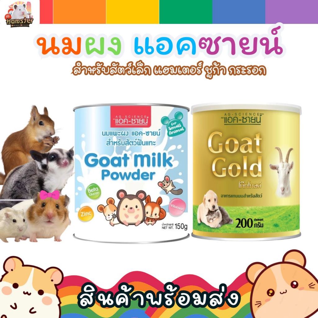 [HiHamster]Ag-science นมแพะผงแอคซายน์สำหรับสัตว์ฟันแทะ แฮมเตอร์ ชูก้า กระรอก เม่นแคระ 200กรัม x 1 กระป๋อง