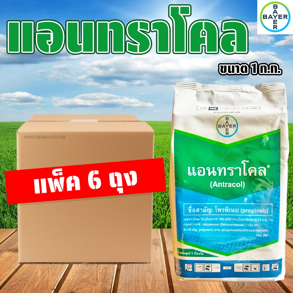 (แพ็ค 6 ถุง) แอนทราโคล ขนาด 1 ก.ก. Bayer ยากันเชื้อรา สารป้องกันกำจัดโรคพืช