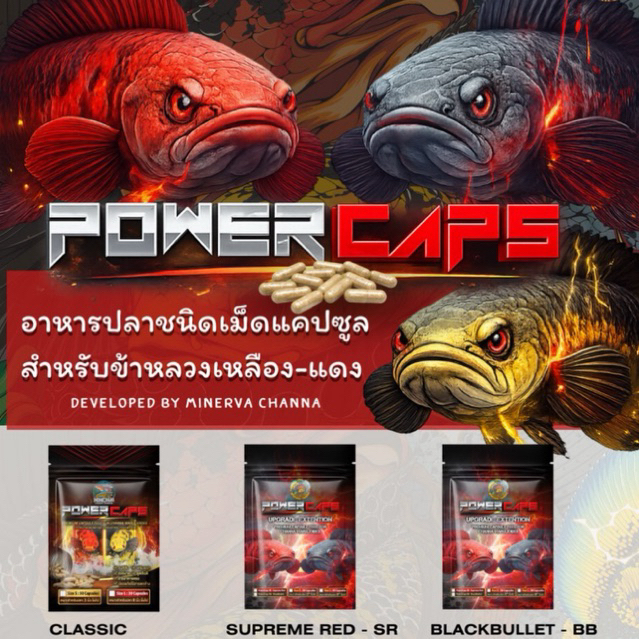 อาหารเม็ดแคปซูล PowerCaps สำหรับปลาช่อนข้าหลวงเหลือง-แดง เร่งสี เสริมดอก พัฒนาลายครีบบาติก สารอาหารครบจบในเม็ดเดียว