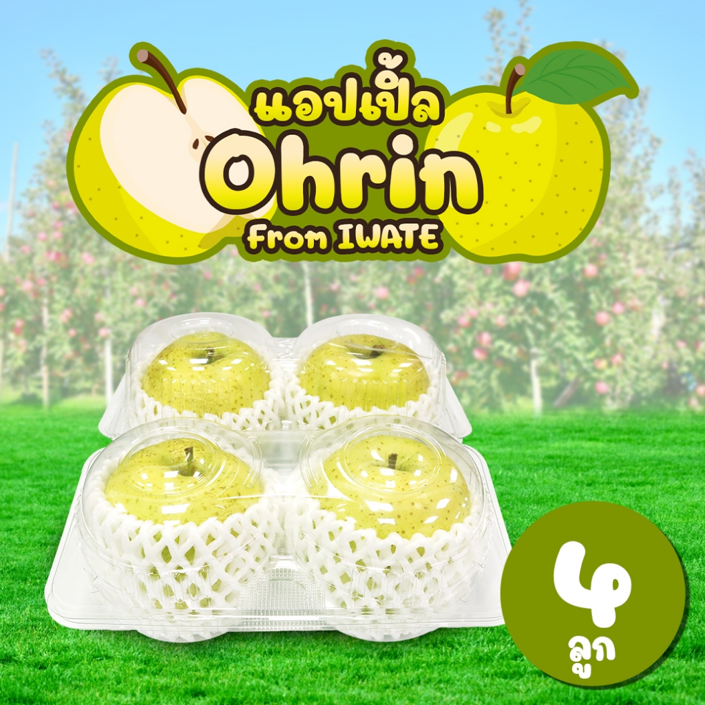 [แพ็คใส 4 ลูก] แอปเปิลโอริน จากเมืองอาโอโมริ - Ohrin Apple from Aomori