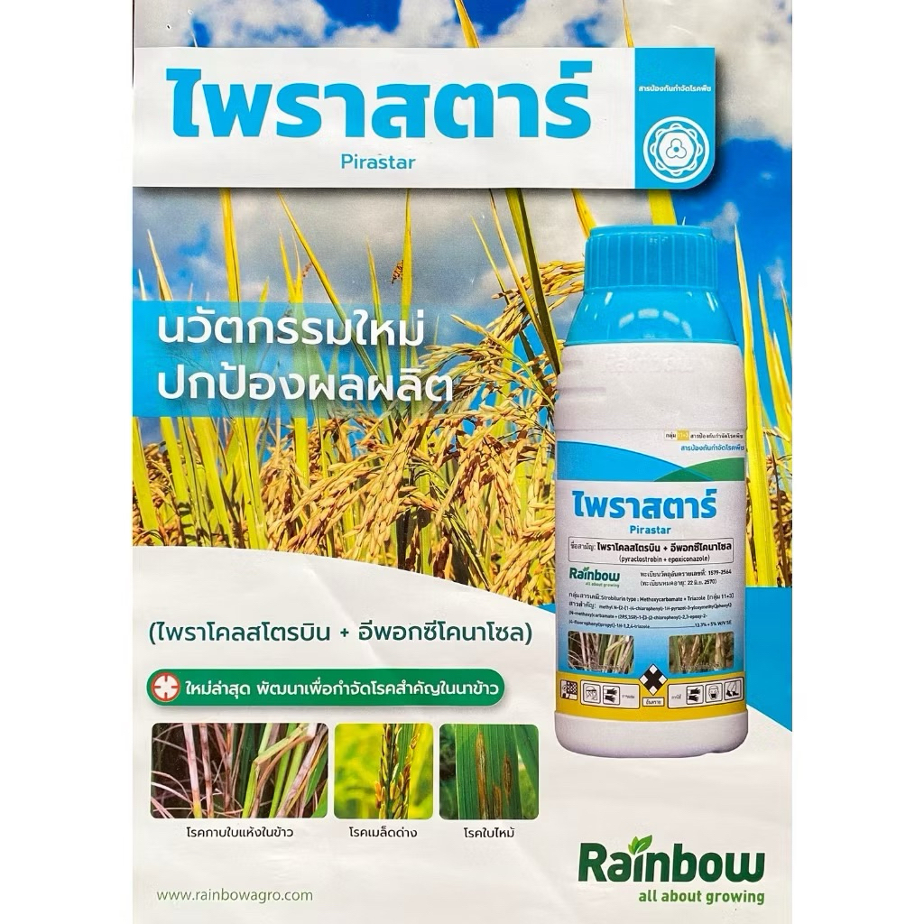 ไพราสตาร์ บริษัท เรนโบว์ ป้องกันและกำจัดโรคใบไหม้, โรคเมล็ดด่าง,โรคกาบใบแห้ง โรคแอนแทรคโนส ราคา ถูกที่สุด ดีลบีเคเค แกลเลอรีภาพที่ 2