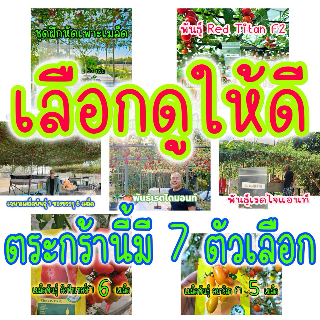 ชุดฝึกเพาะและเมล็ดพันธุ์ฝึกเพาะ