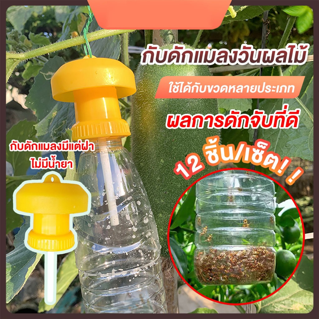 อุปกรณ์ดักแมลง ที่ดักแมลงวันทอง ดักแมลงวัน ล่อแมลงวันทอง เปลี่ยนสำลีง่ายใช้ได้กับทุกขวด