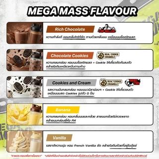 VITAXTRONG MEGA MASS PRO (1 LB) | MASS PROTEIN 70G