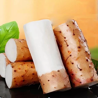 ห่วยซัวสด 鲜淮山 ฮ่วยซัว Chinese Yam ฮ่วยซัว 鲜山药 【เส้นหนึ่ง 480-500 กรัมต่อหัว】