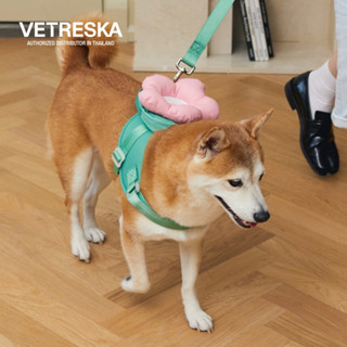 VETRESKA ปลอกคอแมว สายจูงสุนัข แมว ได้ 3 ชิ้น Flora Pet Back…