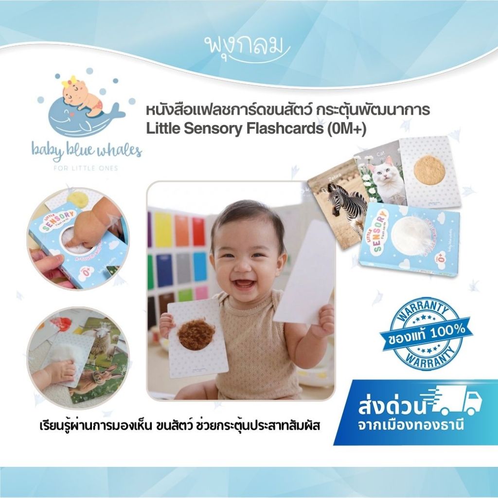 Baby Blue Whales หนังสือแฟลชการ์ดขนสัตว์ กระตุ้นพัฒนาการLittle Sensory Flashcards (0M+)