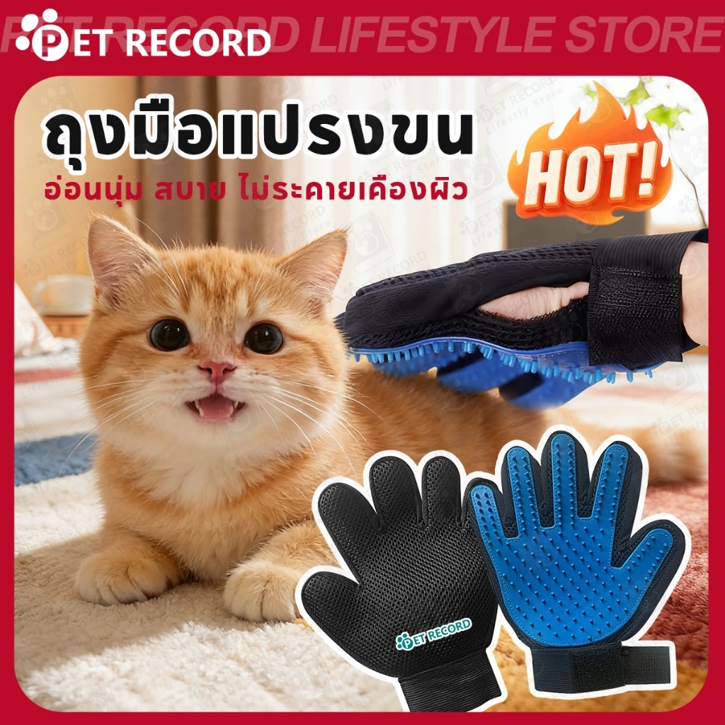 【PET RECORD】🔥ถุงมือแปรงขนสัตว์เลี้ยง กำจัดขนหมาแมว หวีขนสุนัขแมว นวดผิวหนัง ขนหลุดติดง่าย