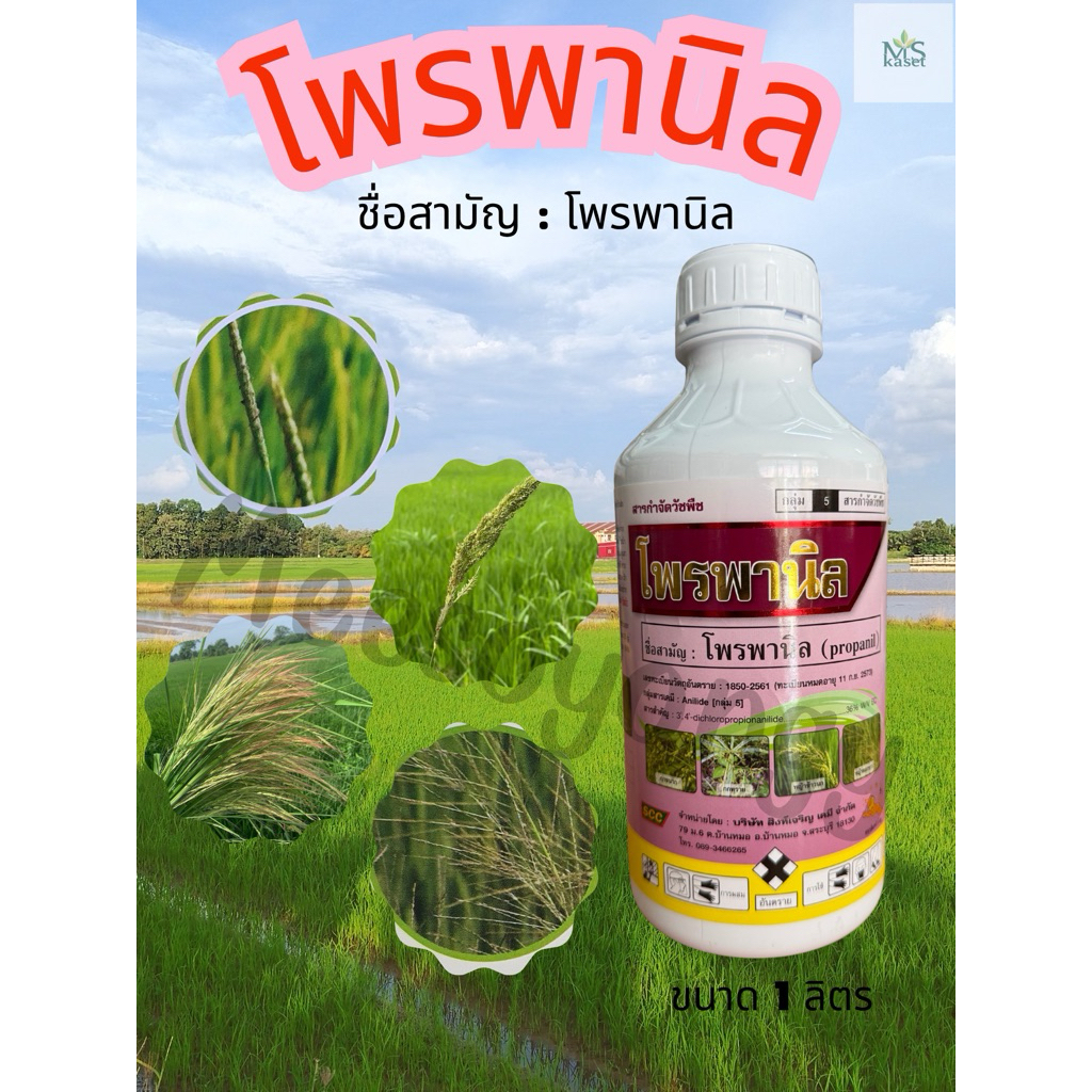 โพรพานิลEC36% ขนาด 1L กำจัดหญ้าในนาข้าว🌾 เผาไหม้ไวได้ทุกหญ้า