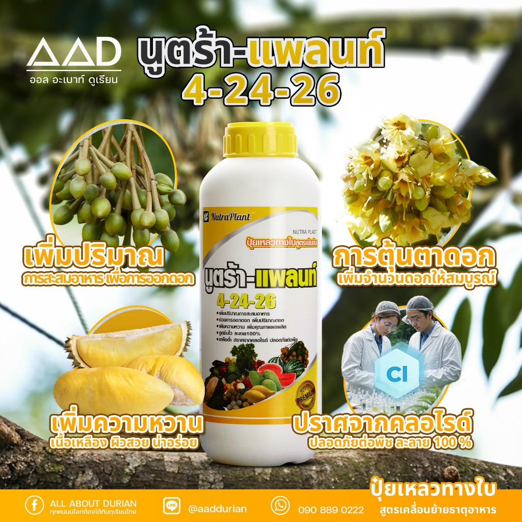 นูตร้าแพลนท์ 4-24-26 ปุ๋ยเหลวทางใบสูตรเข้มข้น