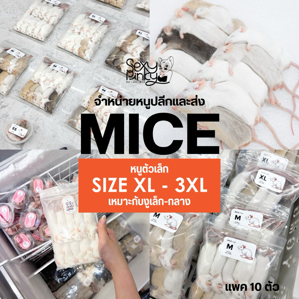 หนูแช่แข็ง Mice อาหารสำหรับงูเล็ก - กลาง จำหน่ายปลีกและส่ง มีหลายขนาด SIZE XL-3XL