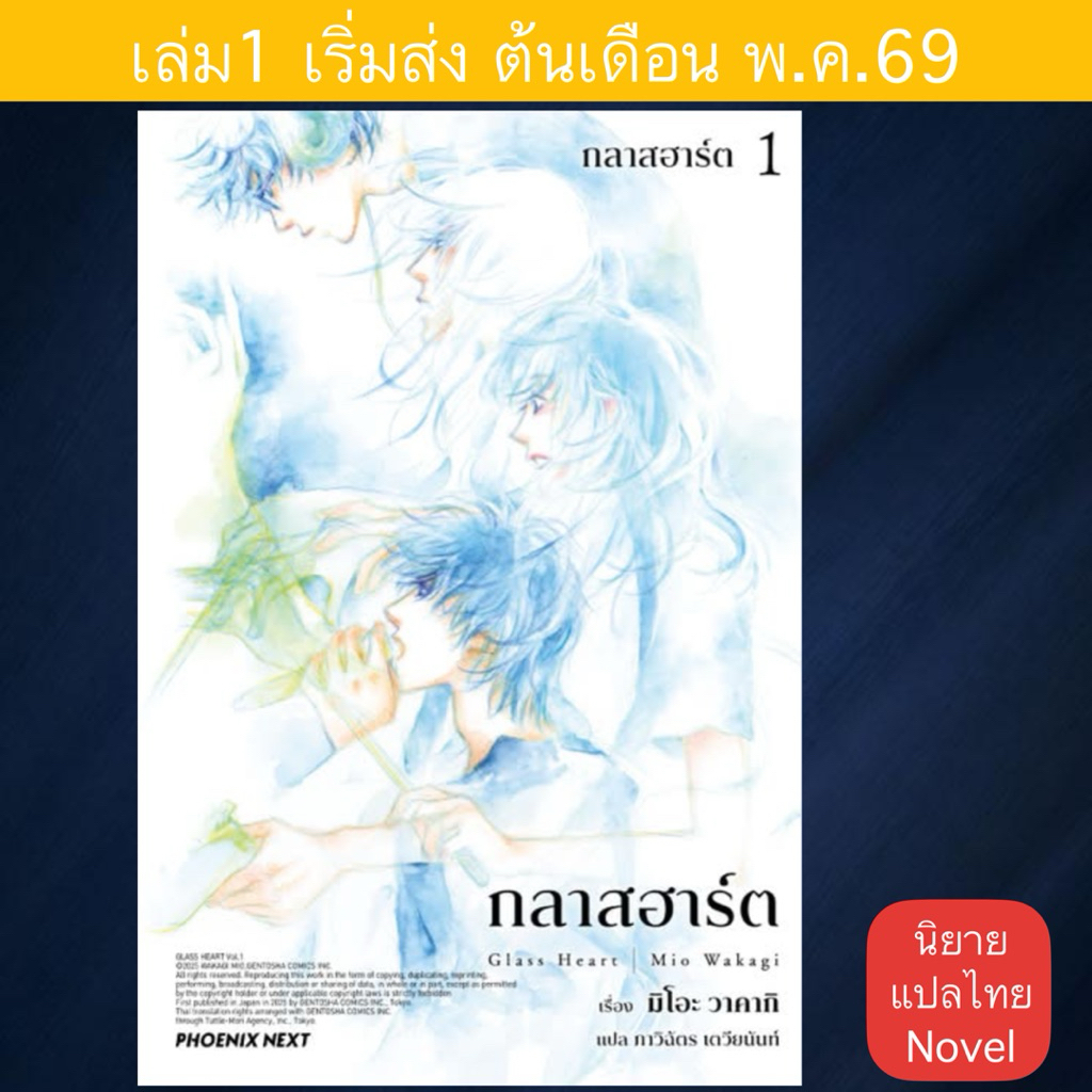 นิยาย กลาสฮาร์ท | Glass Heart