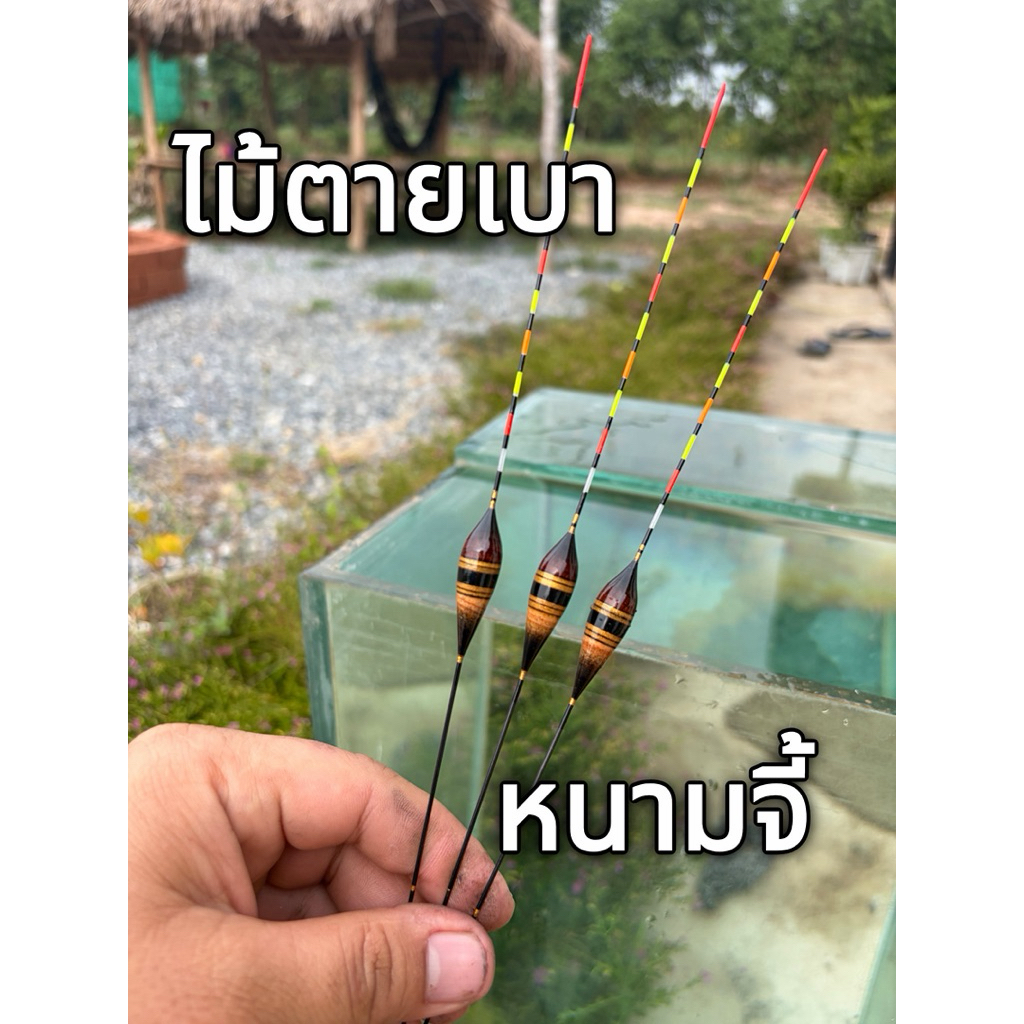 ทุ่นชิงหลิว หนามจี้ (ราคา1ดอก) ไม้ตายเบา ยาวรวม 27 ซม