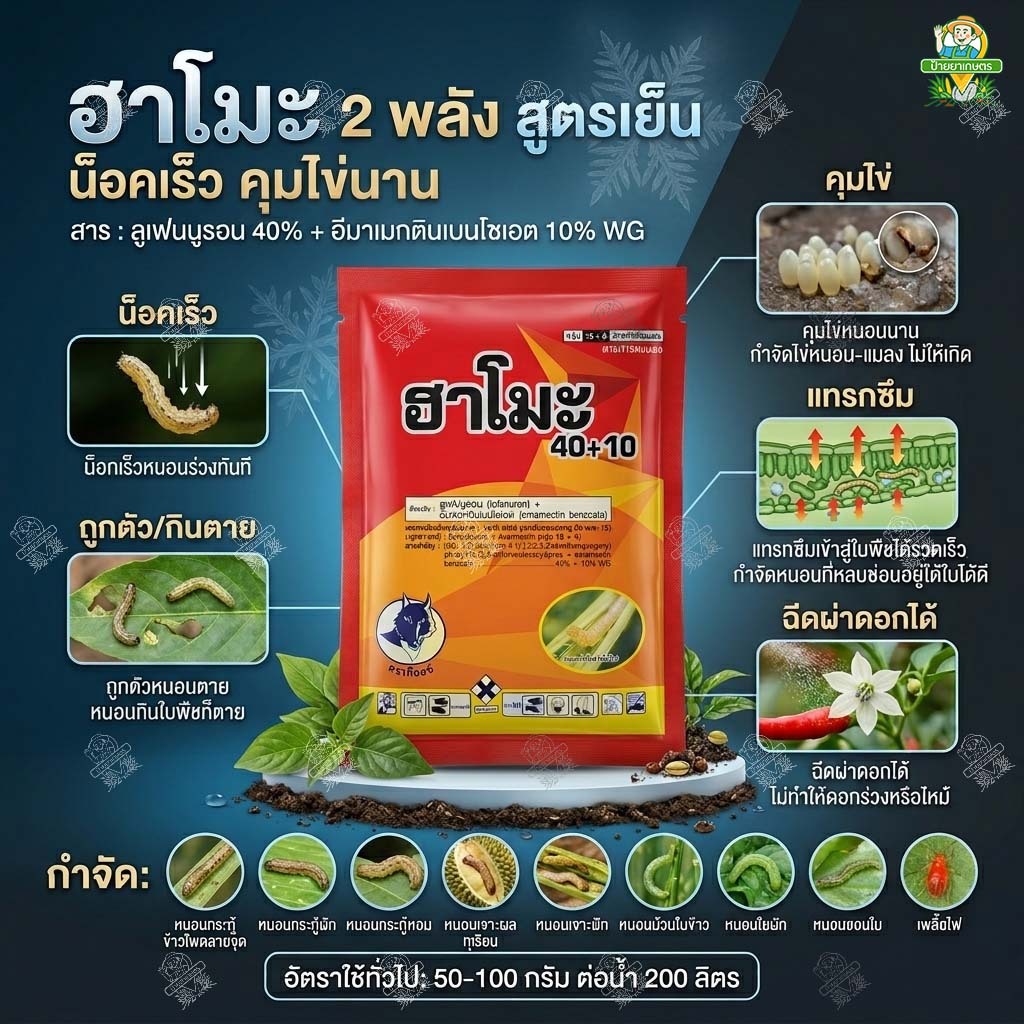 ฮาโมะ 100 กรัม ลูเฟนนูรอน + อีมาเมกติน 40%+10% ยากำจัดหนอน สูตรเย็น คุมไข่ น็อคหนอน ใช้แบบ คิวเรียม