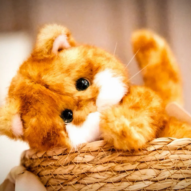 (พรีออเดอร์) TEDDY TALES LINA MEOW (20CM)