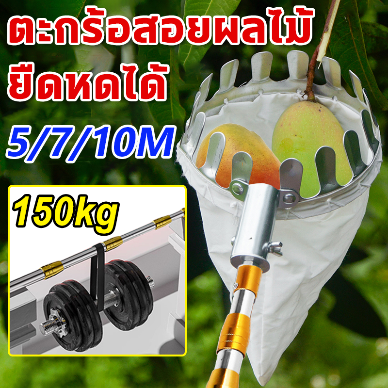 ตะกร้อสอยผลไม้ ไม้สอยมะม่วง 5/7/10M ด้ามยืดหดได้ มาพร้อมกับถุงผ้า ไม่ทำร้ายผลไม้ ไม่ต้องปีนต้นไม้