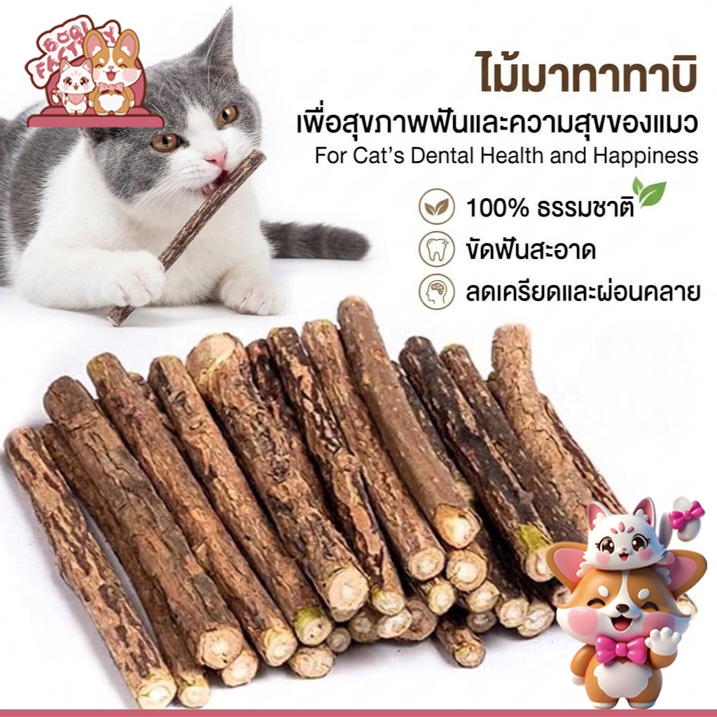 Boqi Factory ไม้มาทาทาบิ (Matatabi) ช่วยให้แมวผ่อนคลายและดูแลสุขภาพช่องปาก Boqi Stix