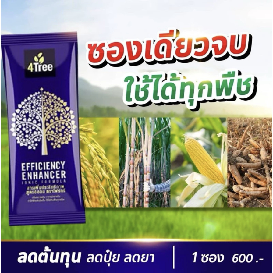 [1 ซอง] 4Tree สารเพิ่มประสิทธิภาพพืช ของแท้