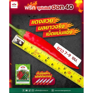 พริก ซุปเปอร์ฮอท 40 ศรแดง ขนาด 7,000 เมล็ด (ประมาณ 40 กรัม) ปลูกได้ 1 ไร่