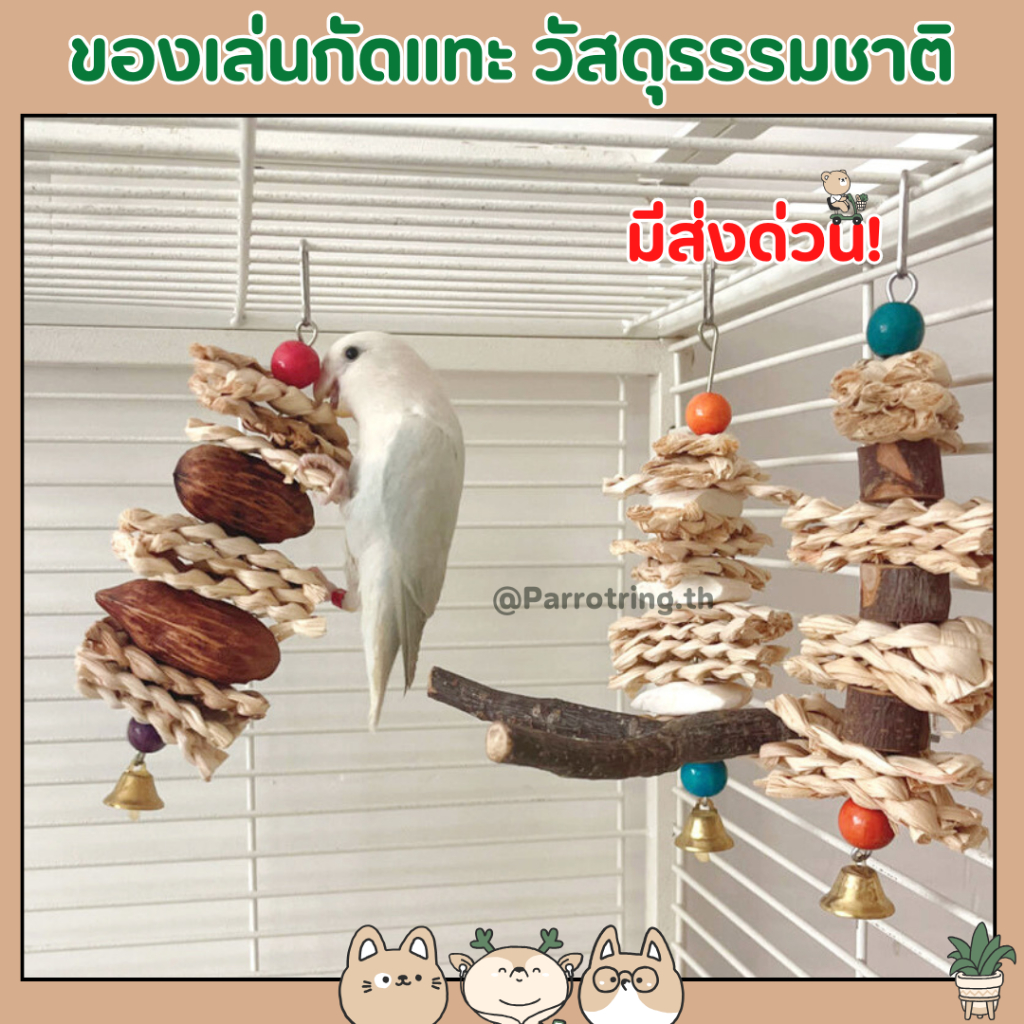 ของกัดแทะ สำหรับนก และสัตว์เลี้ยงฟันแทะ คลายเครียด วัสดุธรรมชาติ