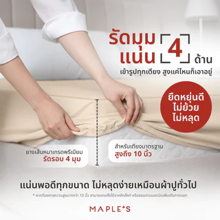 MAPLE'S ผ้าปูที่นอนรัดมุม 550-770เส้น รุ่นSolid/Jacquard กันไรฝุ่น สําหรับคนเป็นภูมิเเพ้ สูง6-10นิ้ว
