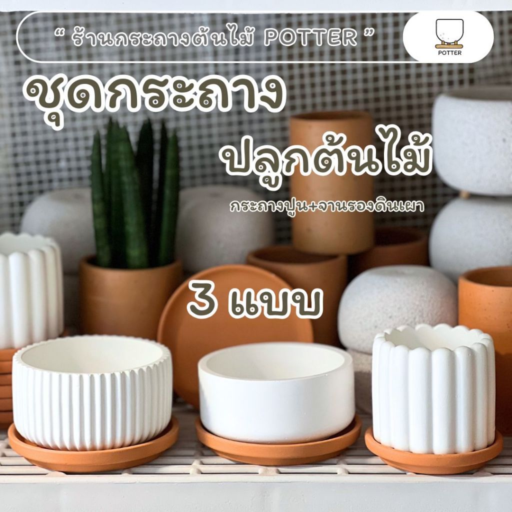 POTTER ชุดกระถางต้นไม้ กระถางปูนสีขาว+จานรองดินเผา มี 2 ขนาด กระถาง3นิ้วและ4นิ้ว
