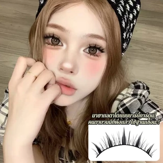 Dreehalo ขนตาดอลลี่อาย ลุคไอดอลเกิร์ลกรุ๊ป เด่นแต่ไม่หนา เหมาะกับตาชั้นเดียว/ตาหลบใน F314
