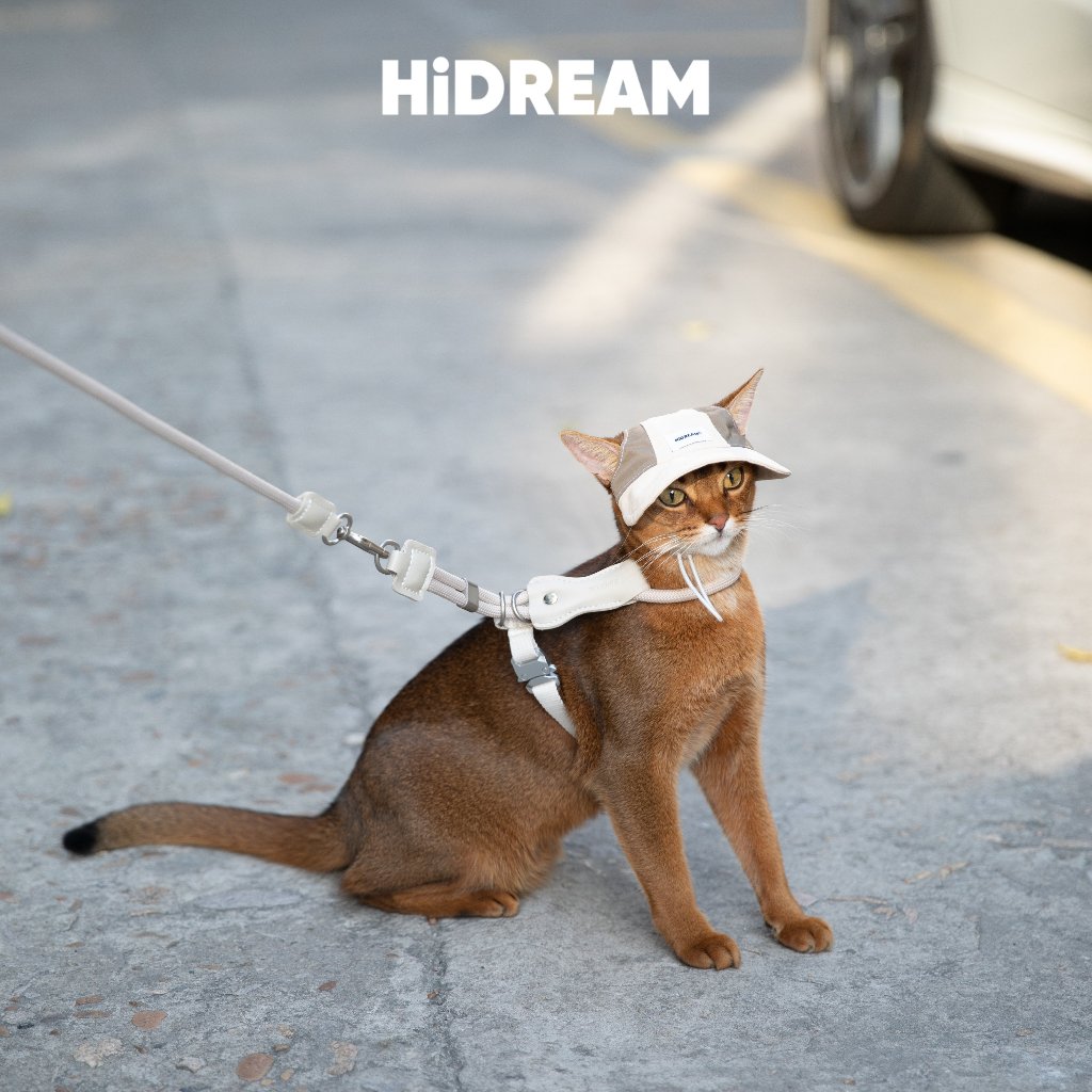 [ส่งด่วน] HiDREAM Pet Hat หมวกกันแดดสัตว์เลี้ยง ปีกกว้าง กันร้อน ระบายอากาศดี ล็อคแน่น น้ำหนักเบา