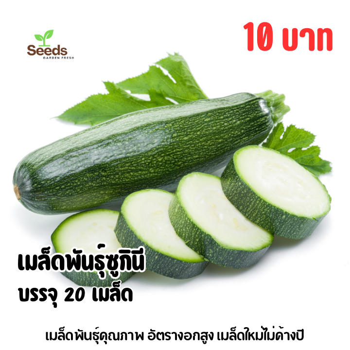 เมล็ดพันธุ์ซูกินี/ บวบ ซองละ 20 เมล็ด