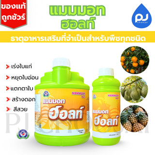 อาหารเสริมแมมมอท ฮอลท์ เทพวัฒนา