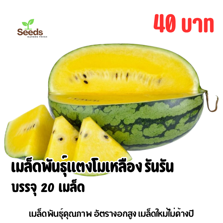 เมล็ดพันธุ์แตงโมเหลือง รันรัน บรรจุ 20 เมล็ด