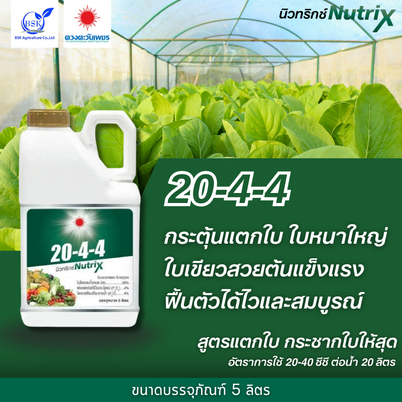 ปุ๋ยน้ำ 20-4-4 แกลลอน 5L (ดวงตะวันเพชร)