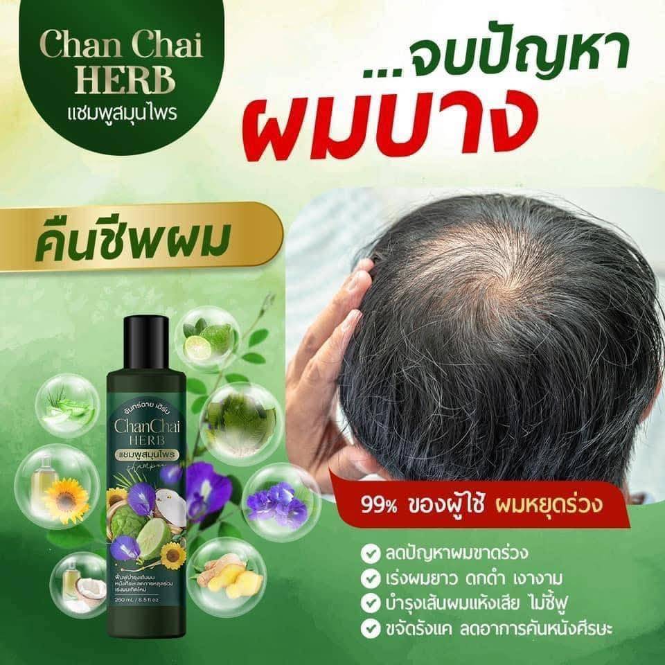 แชมพูผมร่วง สมุนไพร ขนาด 250 มล