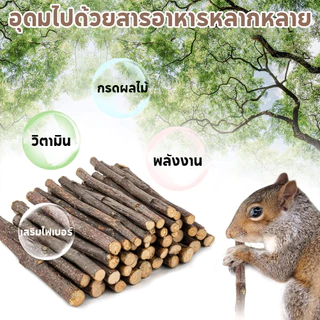 ไม้แอปเปิ้ล Apple Stick 500g ขนมลับฟัน ธรรมชาติ สำหรับ กระต่าย หนูแฮมเตอร์ และสัตว์ฟันแทะอื่น