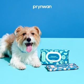 PRYNWAN Pets - ORGANIC PET GROOMING WIPES ผ้าเช็ดทำความสะอาด…