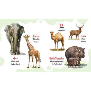 หนังสือภาพคำศัพท์ / สัตว์โลกน่ารู้ / สัตว์ทะเล / ผลไม้ / ผัก สัตว์โลกที่น่าสนใจ หนังสือเด็ก 0-3ขวบ