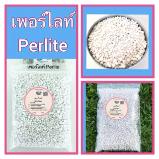 เพอร์ไลท์ (Perlite) เกรดA สำหรับผสมดินปลูก