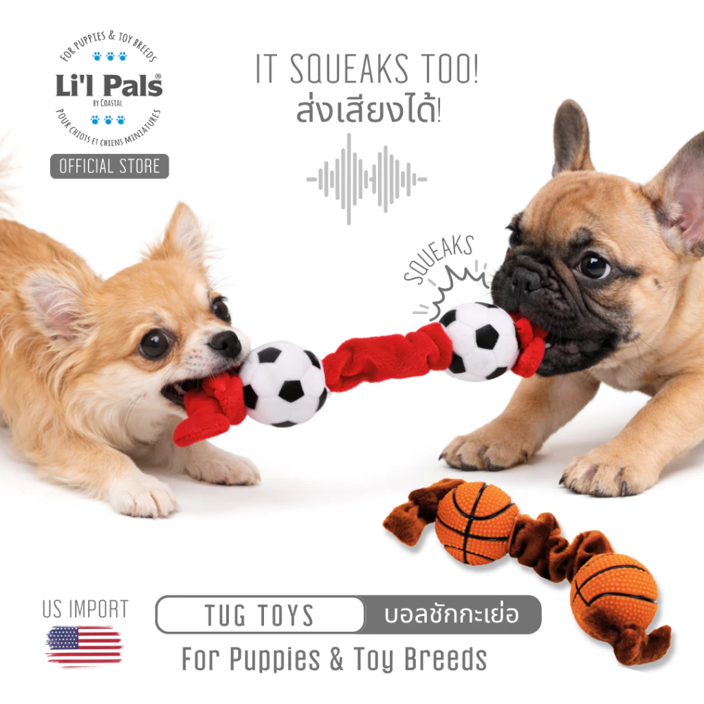 Li'l Pals Basketball and Soccer Tug บอลติดยางยืด ของเล่นสุนัขทอย และ ลูกสุนัข น้ำหนักเบา ขว้างง่าย